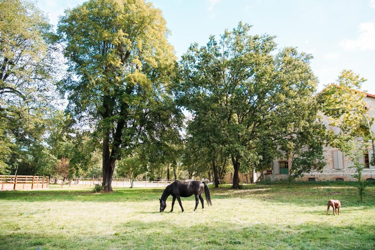 Domaine Des Eglantiers *