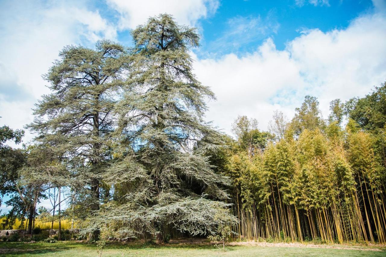 Domaine Des Eglantiers Apartment Cardet