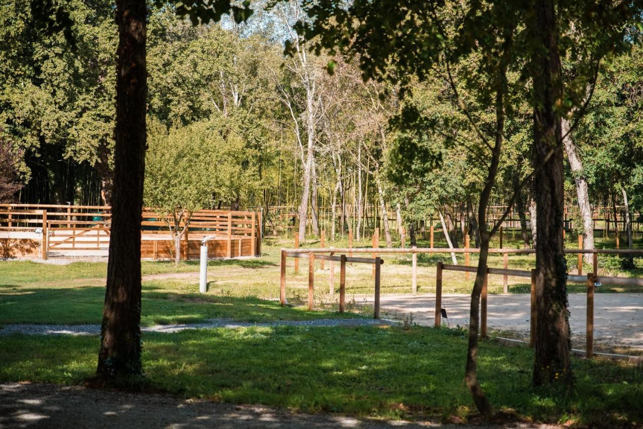 Domaine Des Eglantiers *