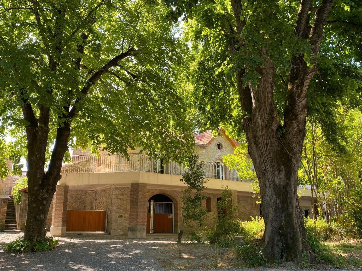 Domaine Des Eglantiers Cardet